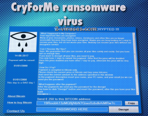 CryForMe viruset