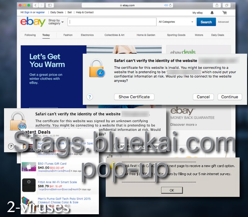 Stags.bluekai.com pop-up