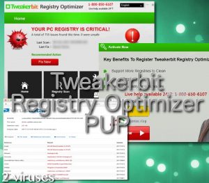 Tweakerbit Registry Optimizer PUP