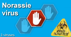 Norassie virus